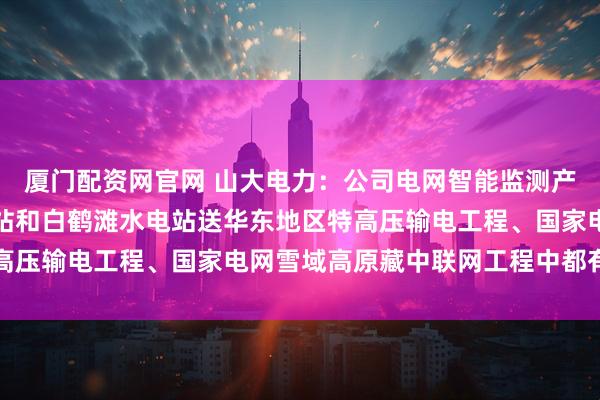 厦门配资网官网 山大电力：公司电网智能监测产品在溪洛渡等大型水电站和白鹤滩水电站送华东地区特高压输电工程、国家电网雪域高原藏中联网工程中都有应用